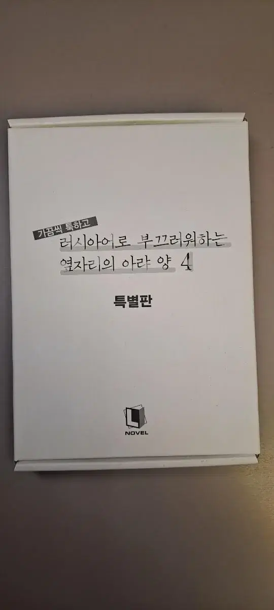 러시아어로 부뜨러워하는 옆자리의 아라 양 4 특별판